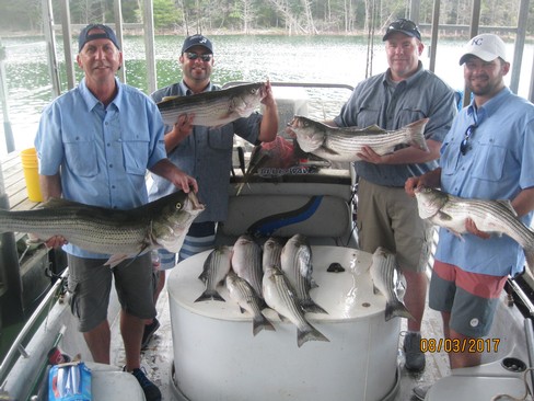 Nice Striped Bass